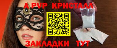 сатива Кингисепп