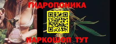 кокс Кимры