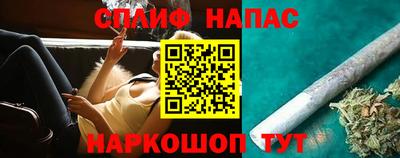 сатива Кингисепп