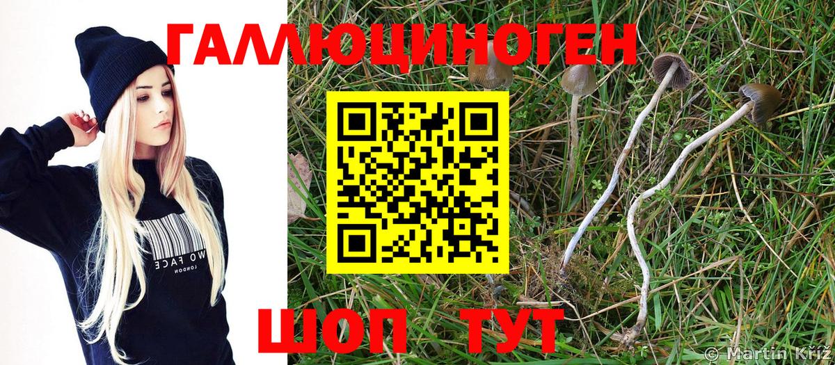 Псилоцибиновые грибы Magic Shrooms  Вход с VPN  что такое наркотик  Карпинск 