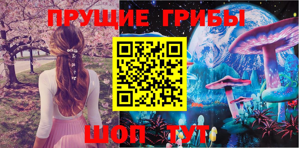 Псилоцибиновые грибы GOLDEN TEACHER Карпинск